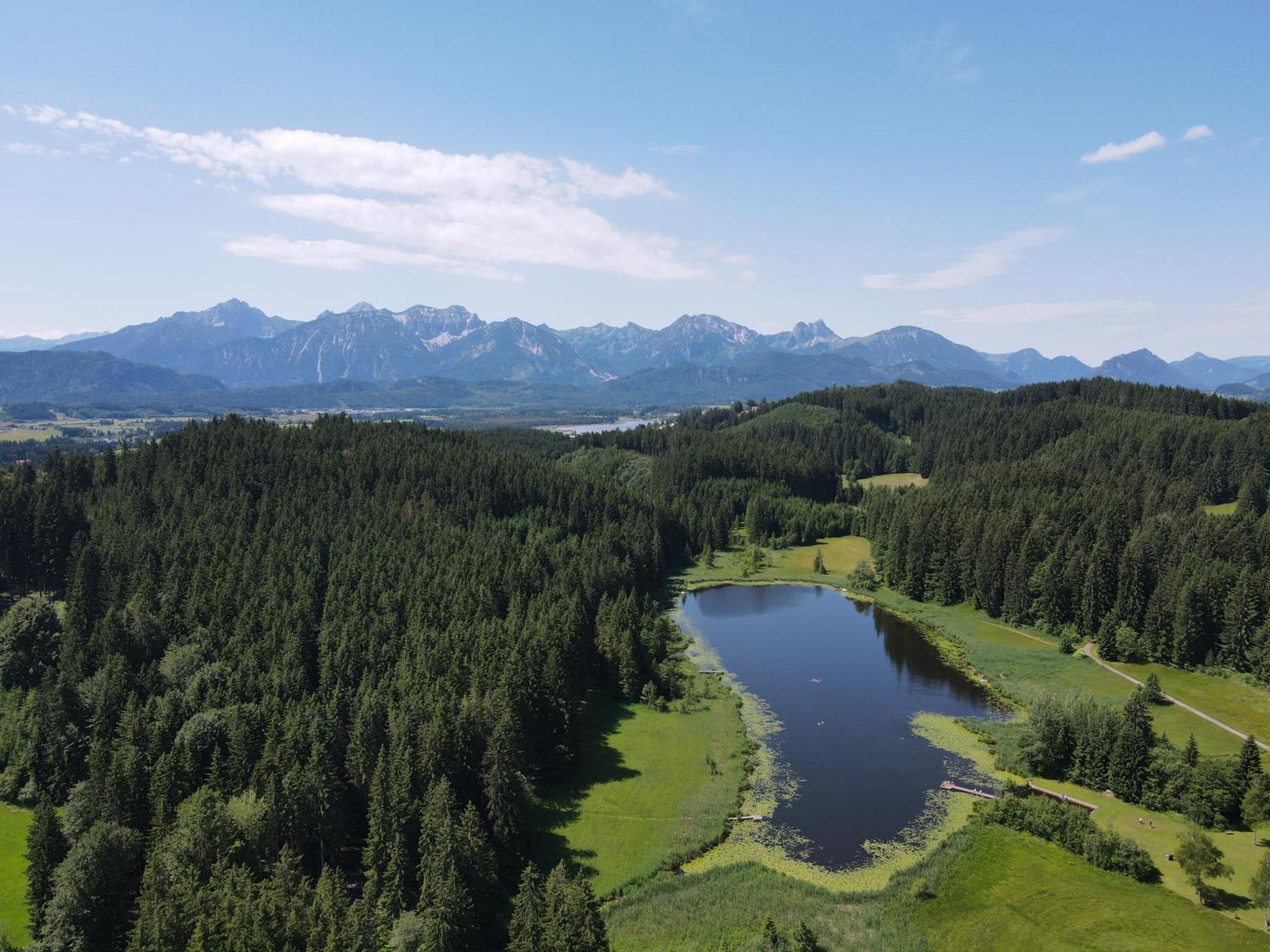 Chalet - Ferienwohnungen - Biohof Stoeger - Panoramasuedbalkon - Grandiose Aussicht Auf See, Berge Und Schloss Neuschwanstein Rieden Luaran gambar