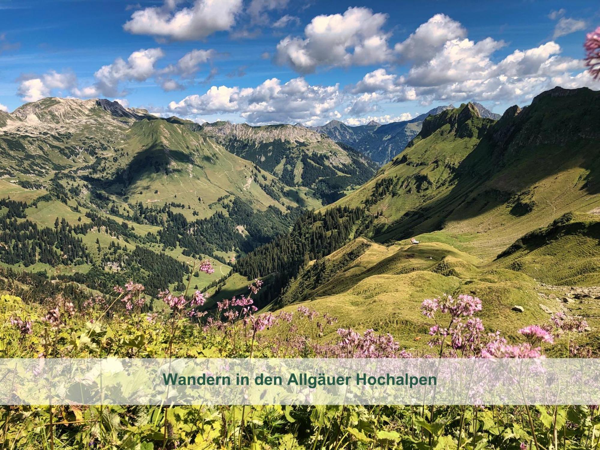 Chalet - Ferienwohnungen - Biohof Stoeger - Panoramasuedbalkon - Grandiose Aussicht Auf See, Berge Und Schloss Neuschwanstein Rieden Luaran gambar