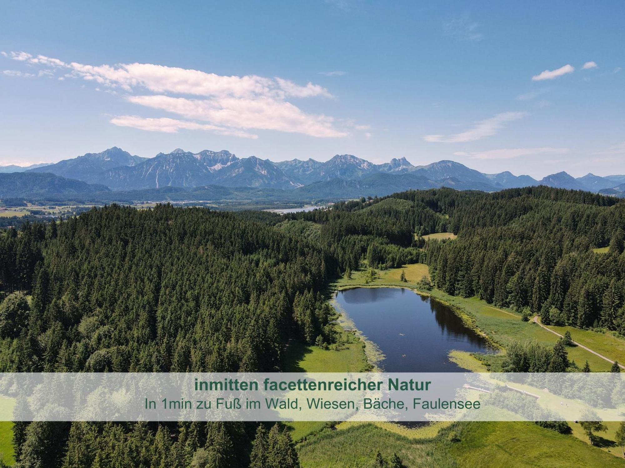 Chalet - Ferienwohnungen - Biohof Stoeger - Panoramasuedbalkon - Grandiose Aussicht Auf See, Berge Und Schloss Neuschwanstein Rieden Luaran gambar