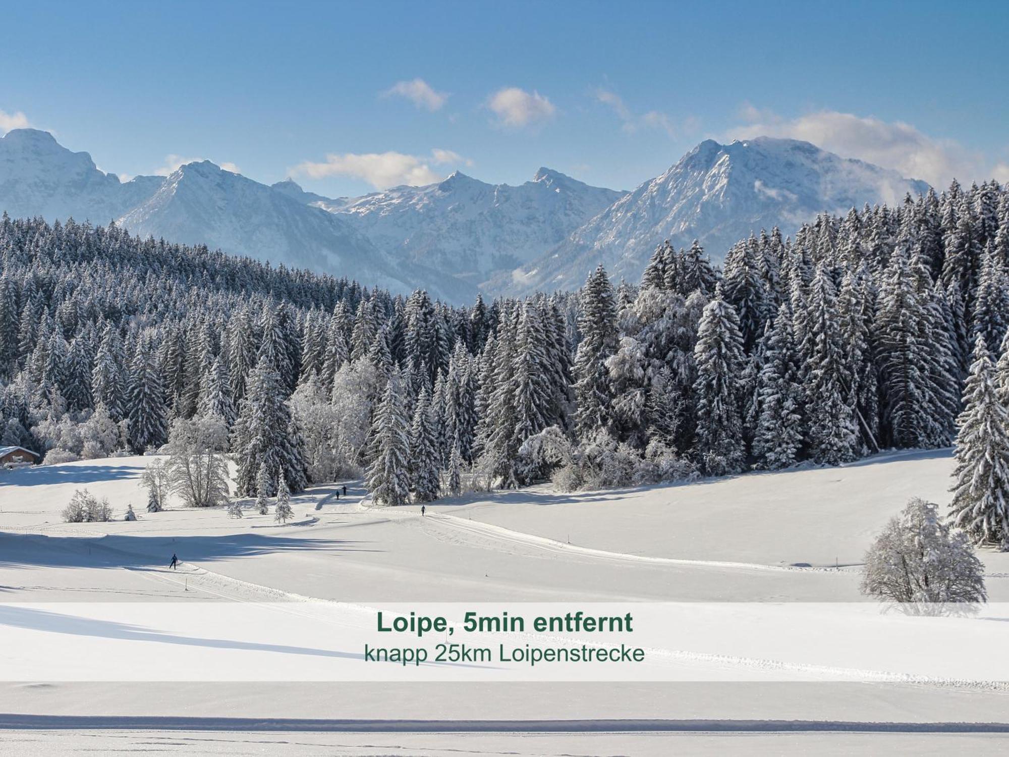 Chalet - Ferienwohnungen - Biohof Stoeger - Panoramasuedbalkon - Grandiose Aussicht Auf See, Berge Und Schloss Neuschwanstein Rieden Luaran gambar
