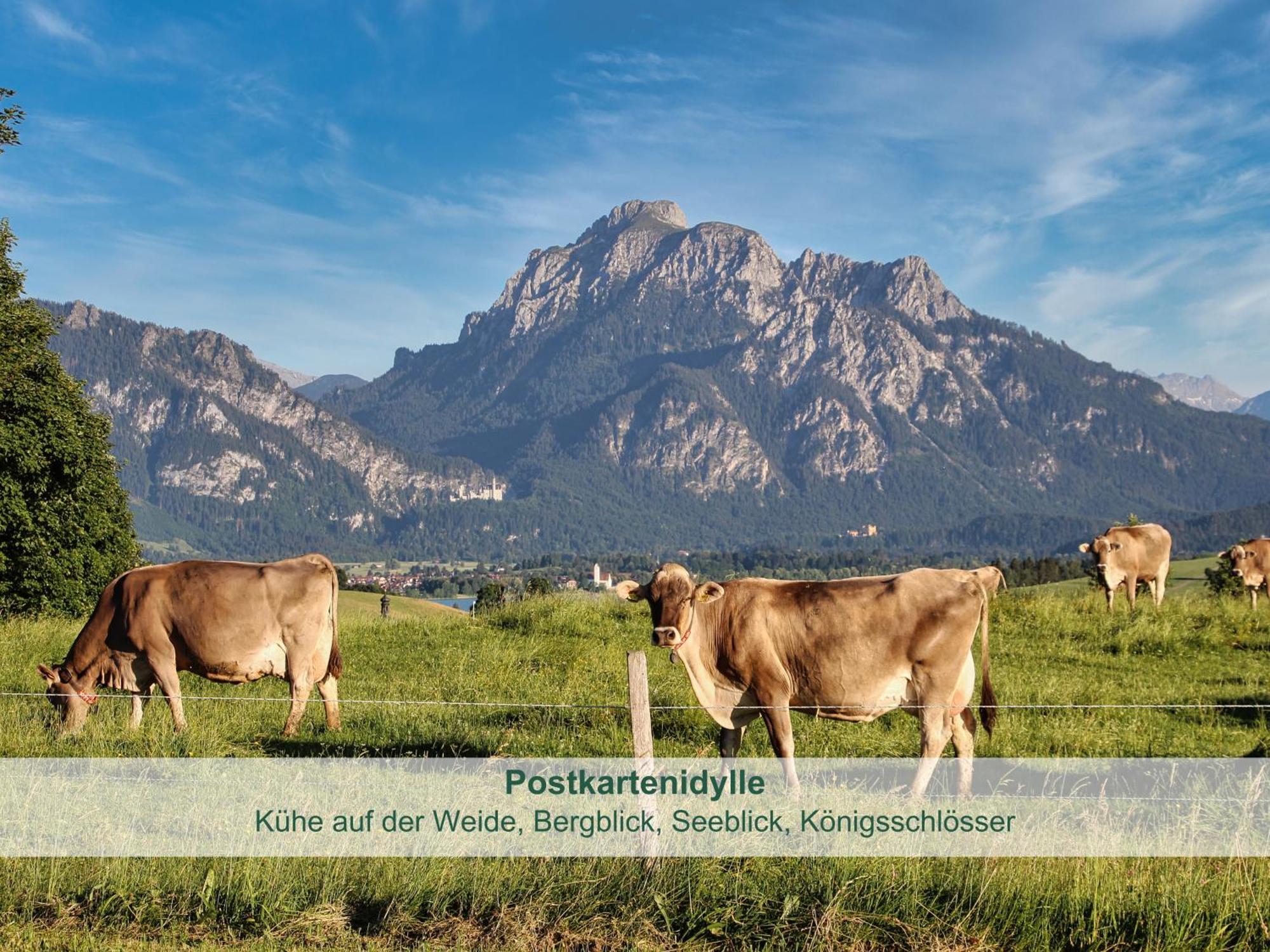 Chalet - Ferienwohnungen - Biohof Stoeger - Panoramasuedbalkon - Grandiose Aussicht Auf See, Berge Und Schloss Neuschwanstein Rieden Luaran gambar
