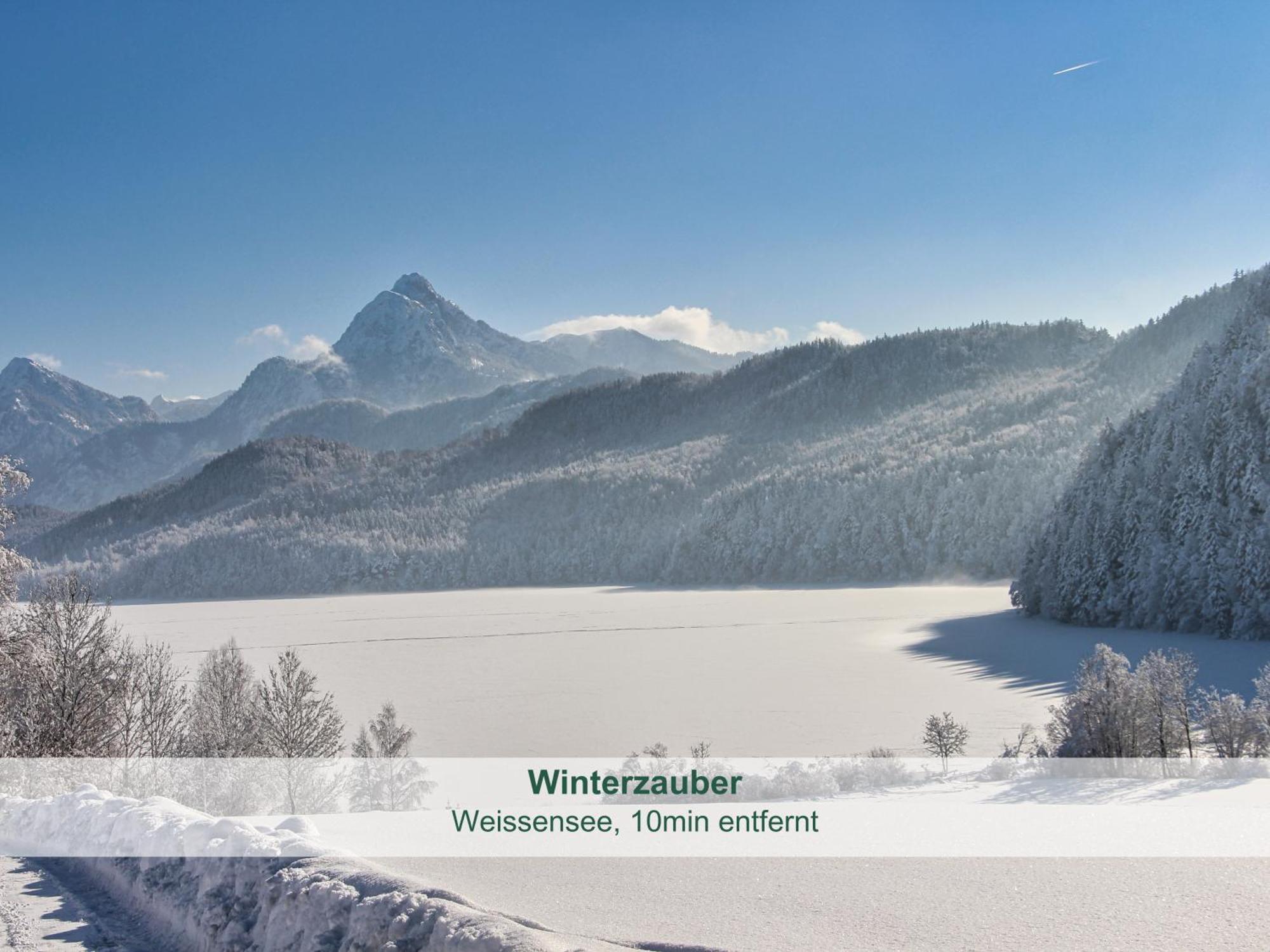 Chalet - Ferienwohnungen - Biohof Stoeger - Panoramasuedbalkon - Grandiose Aussicht Auf See, Berge Und Schloss Neuschwanstein Rieden Luaran gambar